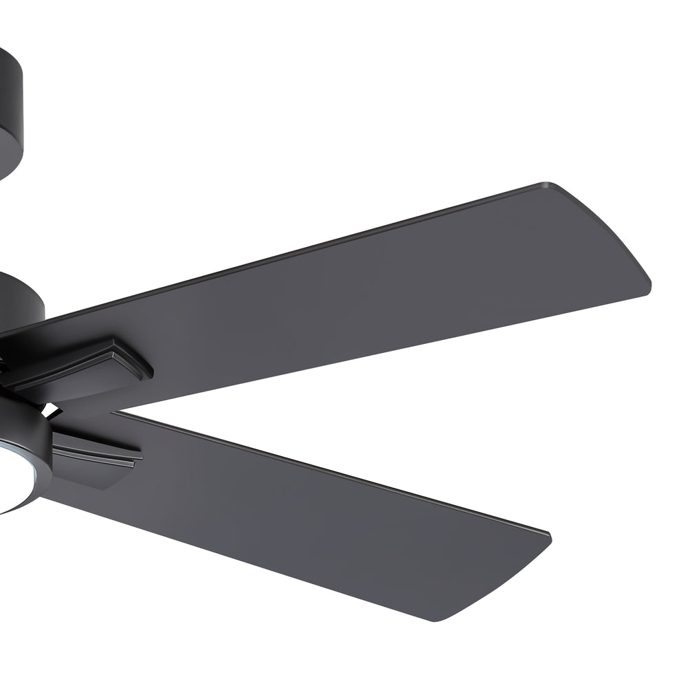 Charlie 42/52 Inch Ceiling Fan with Light & Remote