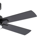 Charlie 42/52 Inch Ceiling Fan with Light & Remote
