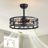 Coris 20-Inch Matte Black Caged Ceiling Fan With Light