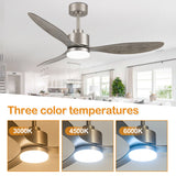 Aervon 52-Inch 3-Blade Ceiling Fan With Light