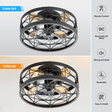 Ravora 16.5-Inch Small Caged Ceiling Fan With Light & Remote