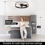 Delvessa 24-Inch Low Profile RGB Ceiling Fan With Dimmable Light