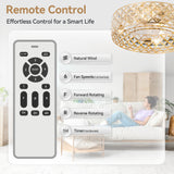 Rosmere 19" Caged Ceiling Fan With Light & Remote