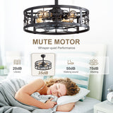 Coris 20-Inch Matte Black Caged Ceiling Fan With Light