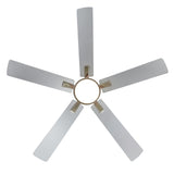 Charlie 42/52 Inch Ceiling Fan with Light & Remote