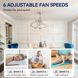 Halcyra 20-Inch Modern 3 Blade Ceiling Fan With Light