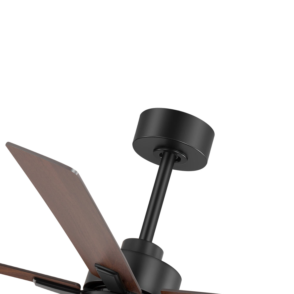 Charlie 42/52 Inch Ceiling Fan with Light & Remote