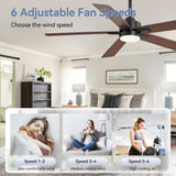 Charlie 42/52 Inch Ceiling Fan with Light & Remote