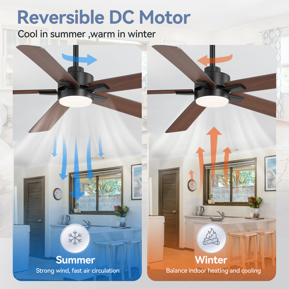 Charlie 42/52 Inch Ceiling Fan with Light & Remote