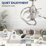 Halcyra 20-Inch Modern 3 Blade Ceiling Fan With Light