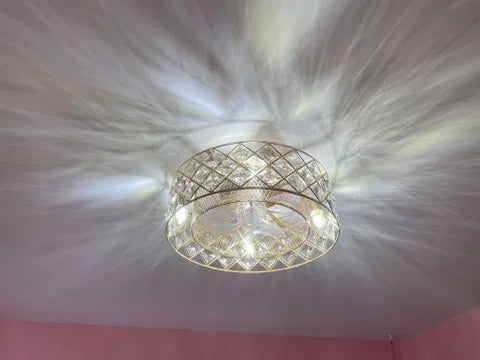 Customer photo of the 19" Small Caged Ceiling Fan with Light