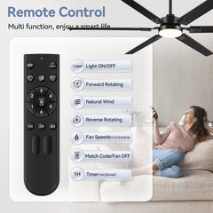 30031-T REMOTE with RECEIVER