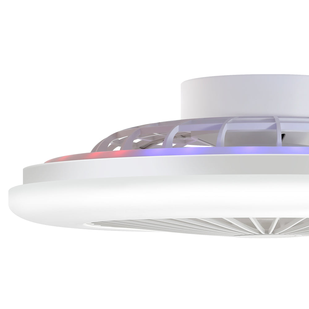 19 Inch Enclosed Low Profile RGB Ceiling Fan Works with Alexa/Google/APP