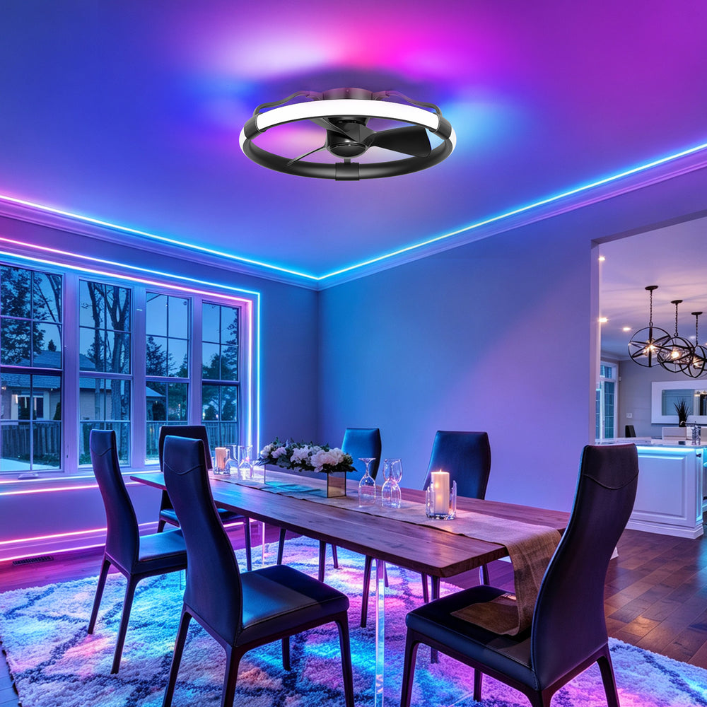 Delvessa 24-Inch Low Profile RGB Ceiling Fan With Dimmable Light