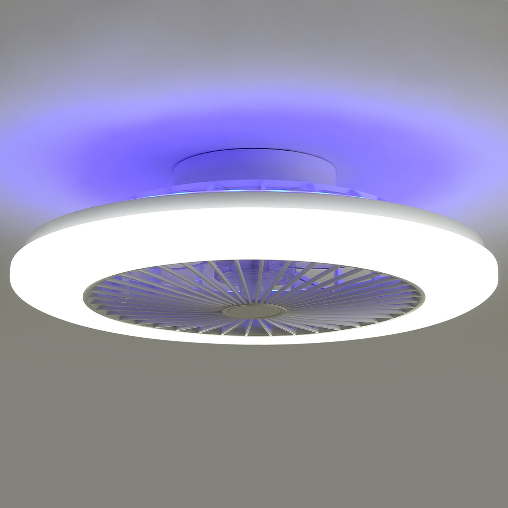 19 Inch Enclosed Low Profile RGB Ceiling Fan Works with Alexa/Google/APP