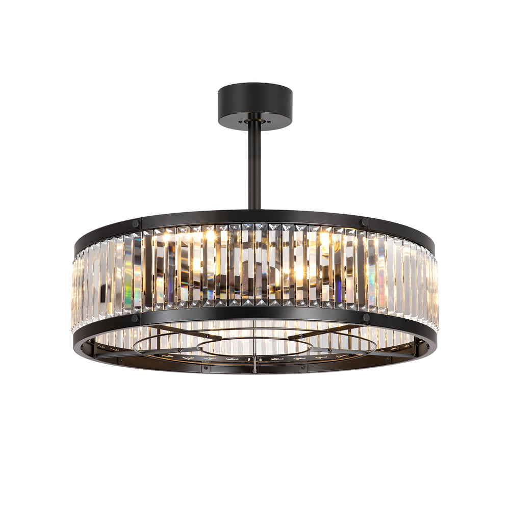 28 Inch Caged Ceiling Fan with Light & Remote Control