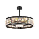 28 Inch Caged Ceiling Fan with Light & Remote Control