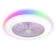 19 Inch Enclosed Low Profile RGB Ceiling Fan Works with Alexa/Google/APP