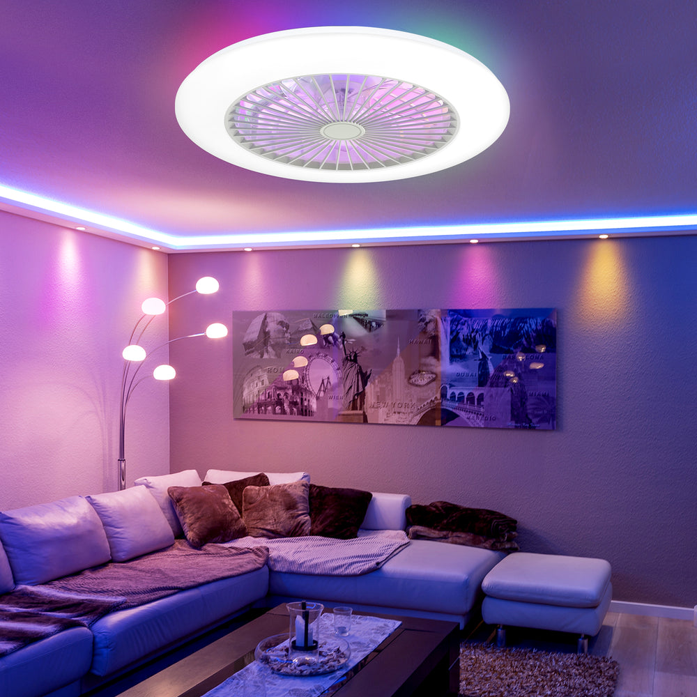 19 Inch Enclosed Low Profile RGB Ceiling Fan Works with Alexa/Google/APP