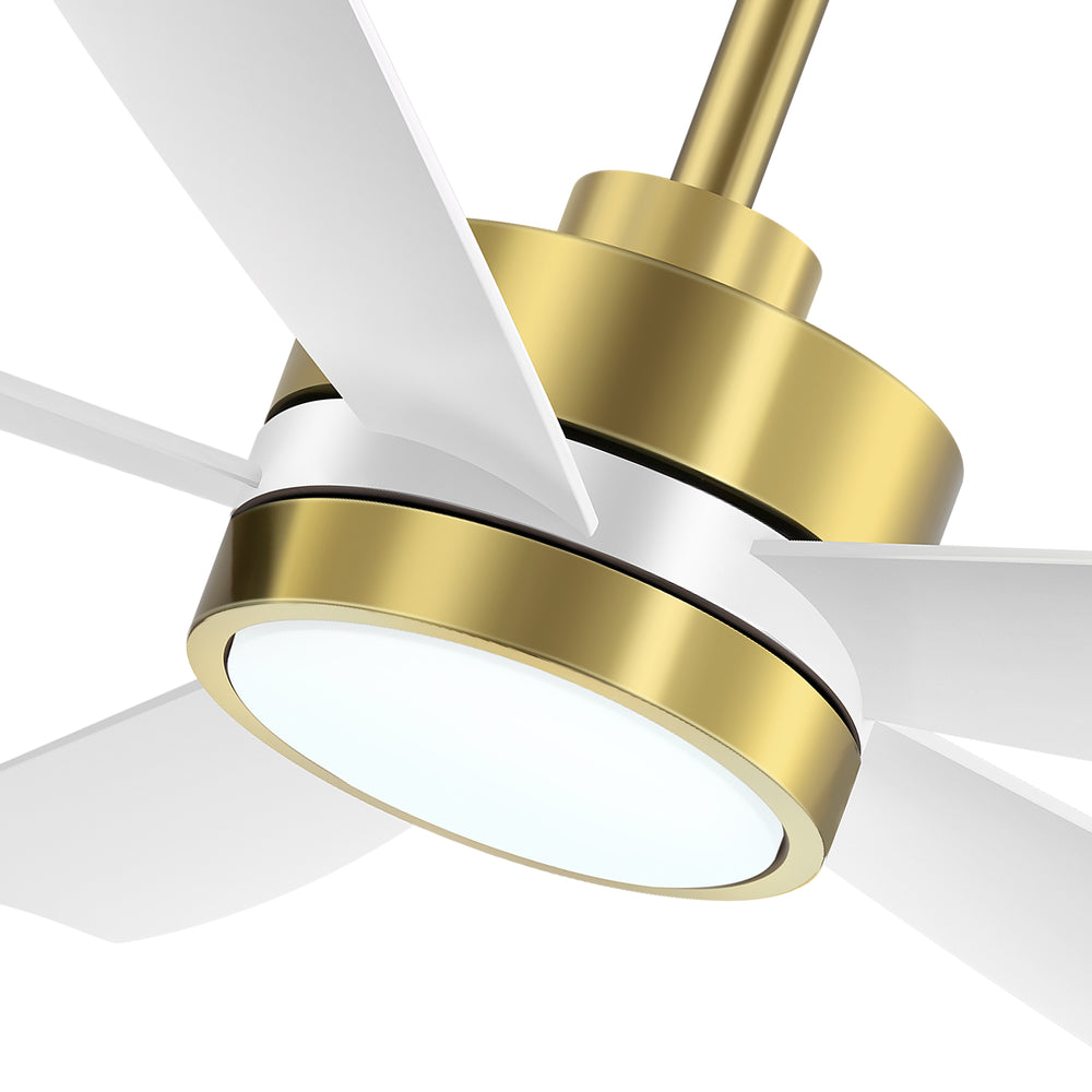 52-inch 5-Blade LED Ceiling Fan with Light and Remote,5" and 10" Downrods Included