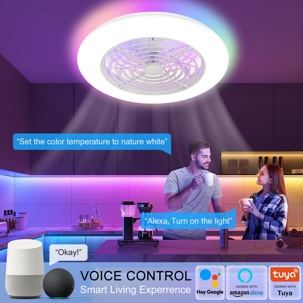 19-in Low Profile Ceiling Fan with Light, RGB Dimmable LED Enclosed Ceiling Fans with Remote