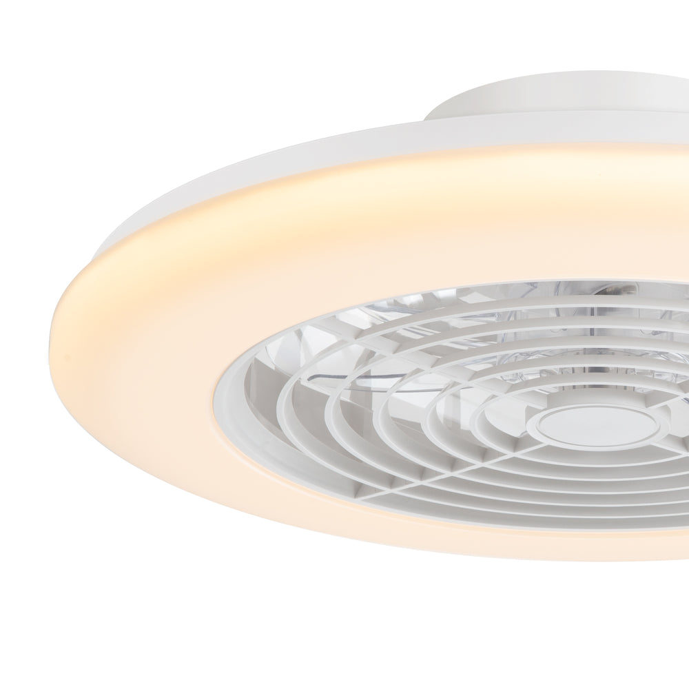19-in Low Profile Ceiling Fan with Light, RGB Dimmable LED Enclosed Ceiling Fans with Remote