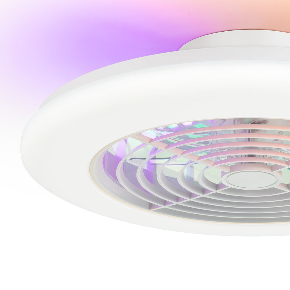 19-in Low Profile Ceiling Fan with Light, RGB Dimmable LED Enclosed Ceiling Fans with Remote