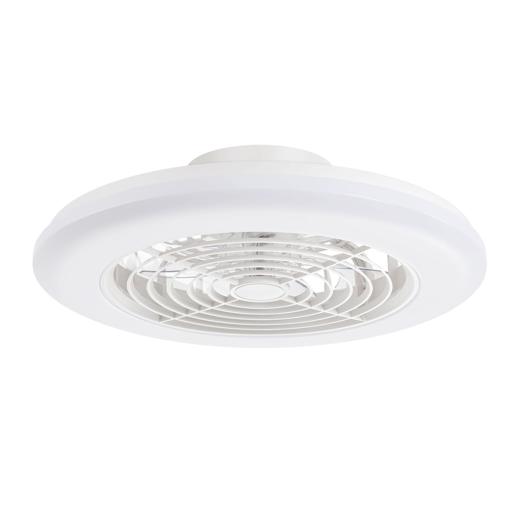 19-in Low Profile Ceiling Fan with Light, RGB Dimmable LED Enclosed Ceiling Fans with Remote