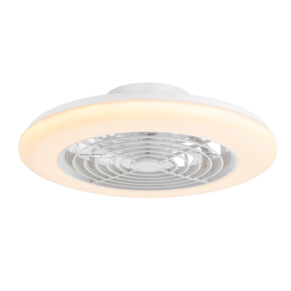 19-in Low Profile Ceiling Fan with Light, RGB Dimmable LED Enclosed Ceiling Fans with Remote