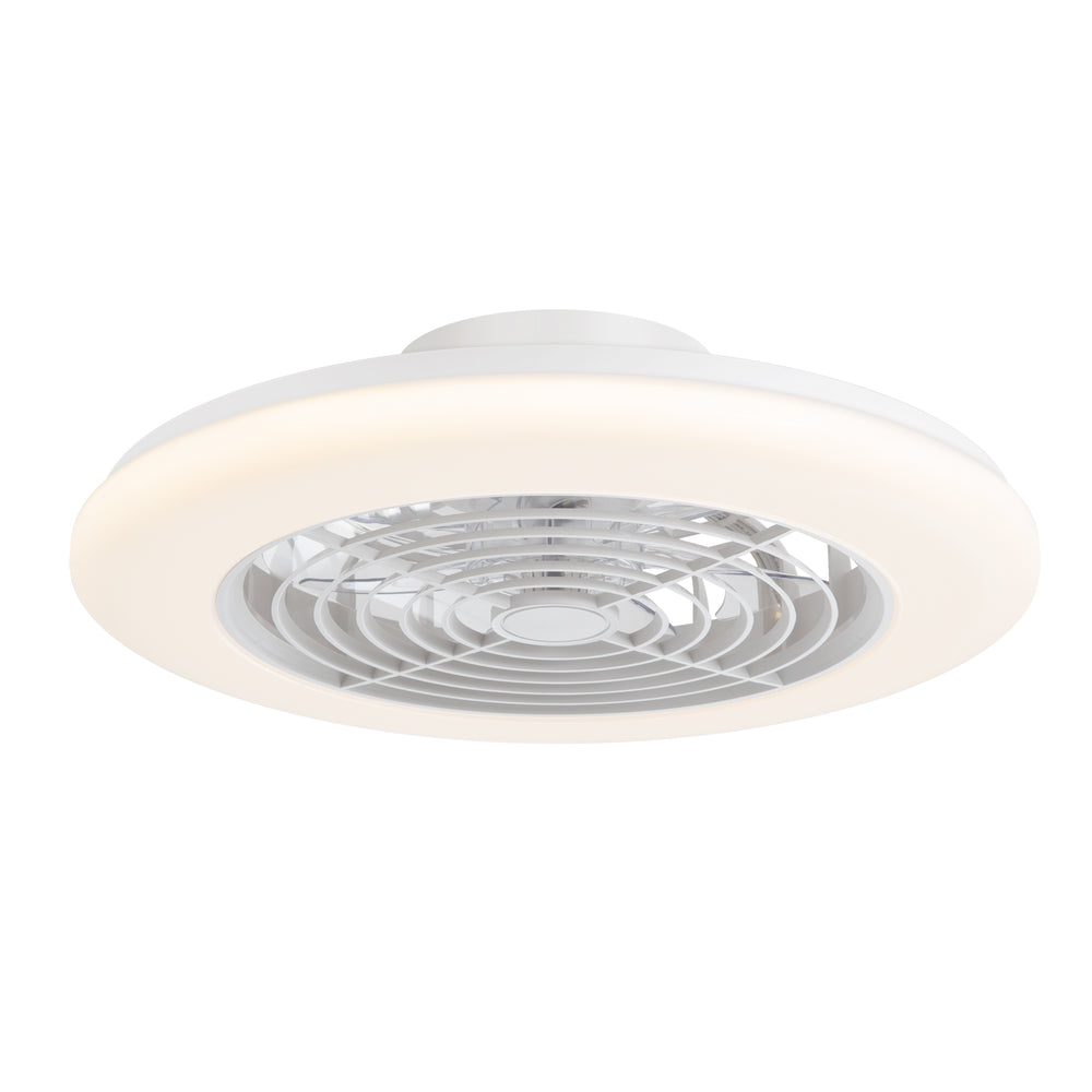 19-in Low Profile Ceiling Fan with Light, RGB Dimmable LED Enclosed Ceiling Fans with Remote