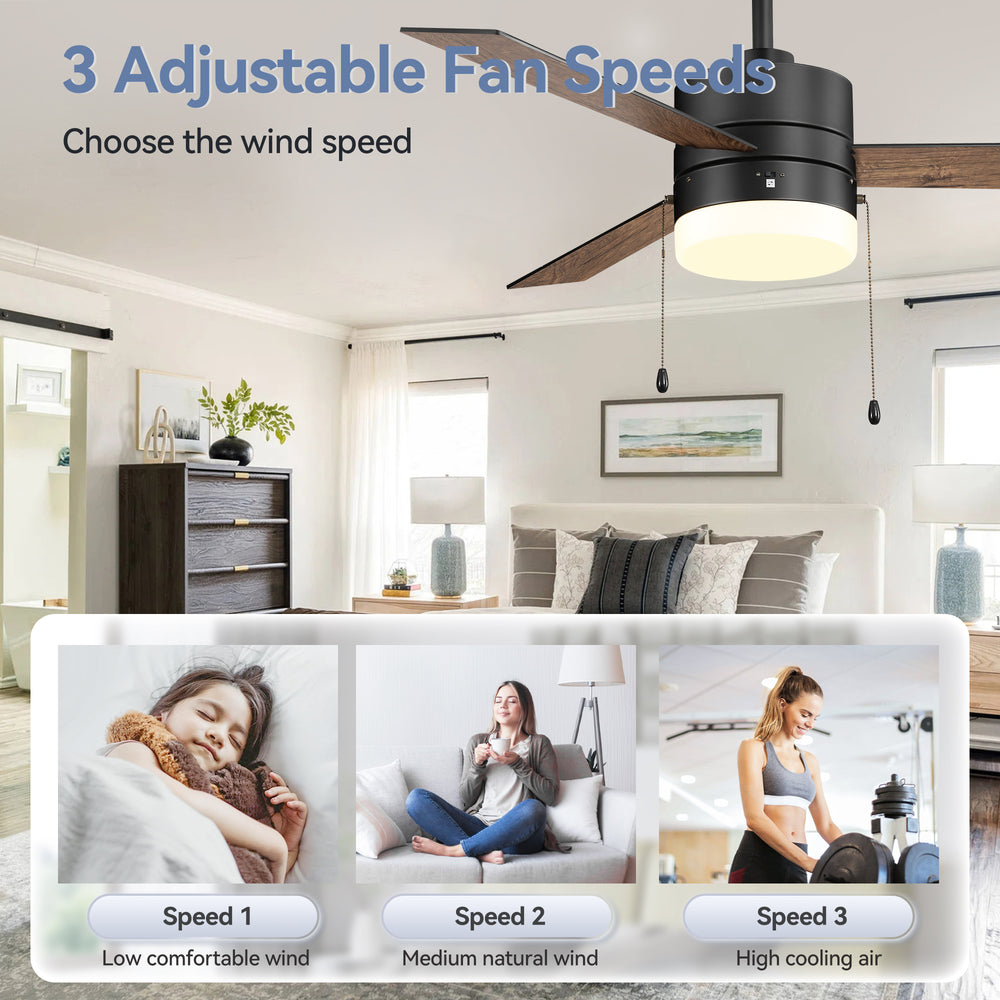 52-Inch 3 Reversible Blades Ceiling Fan with LED Light,Pull Chain and 6" Downrod Included