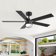 52 Inch Matte Black Ceiling Fan with Light and Remote, Industrial Caged Frosted Glass Shade, 18W LED 3CCT Lighting with Memory Function, 6-Speed Reversible Quiet DC Motor, Timer, 5 Dual-Finish Blades for Bedroom Living Room