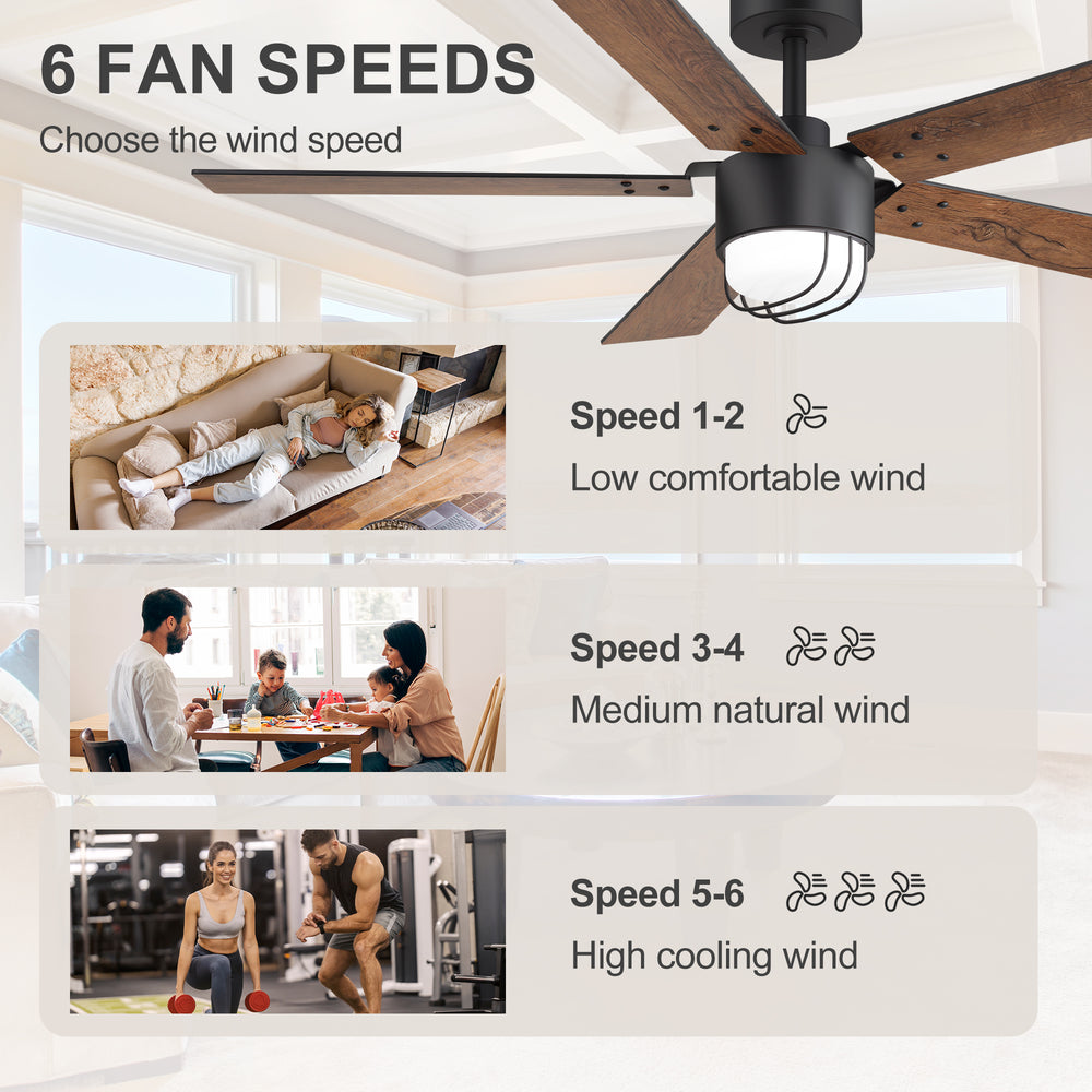 52 Inch Matte Black Ceiling Fan with Light and Remote, Industrial Caged Frosted Glass Shade, 18W LED 3CCT Lighting with Memory Function, 6-Speed Reversible Quiet DC Motor, Timer, 5 Dual-Finish Blades for Bedroom Living Room