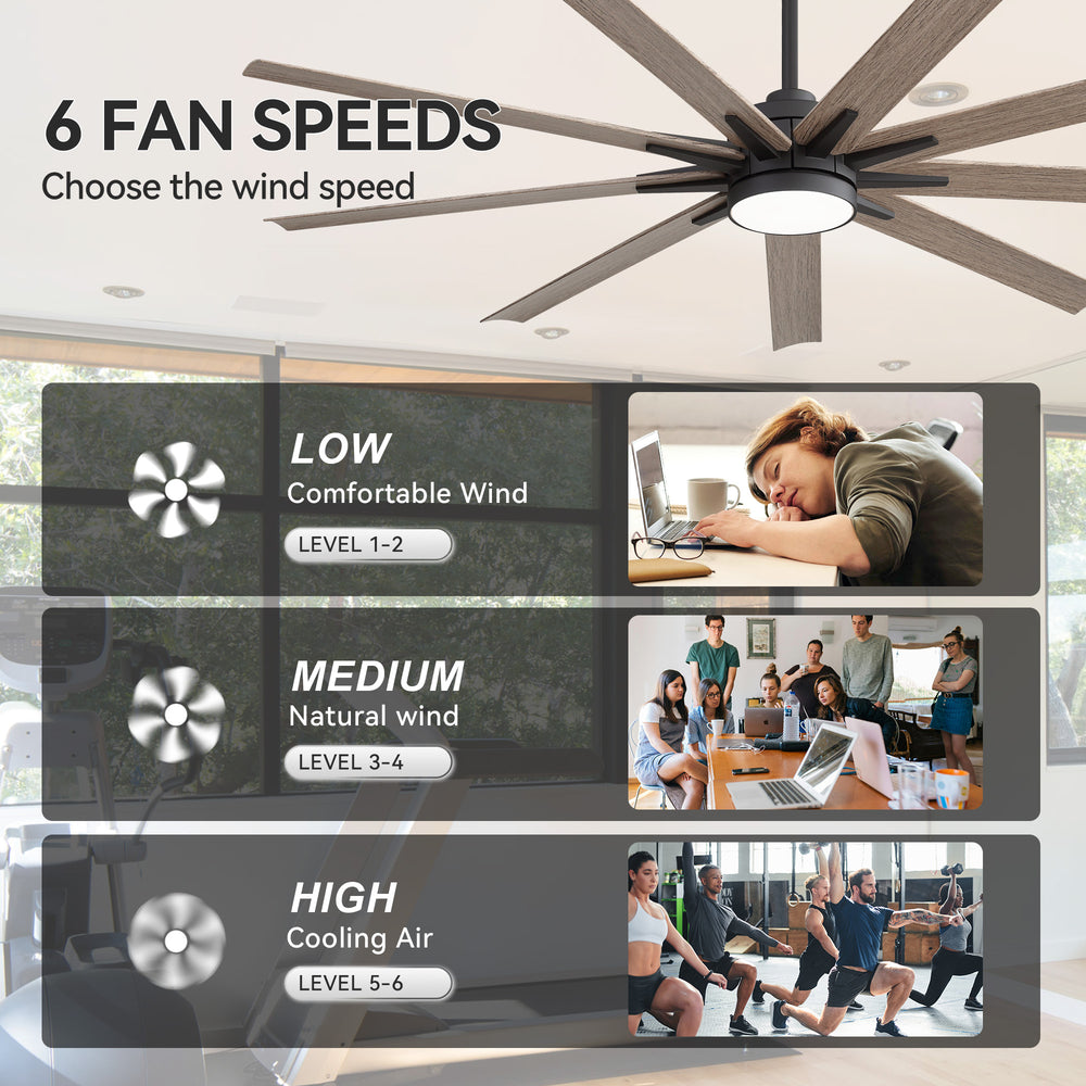 Breezary 65" 9-Blade Silent DC Motor Modern Ceiling Fan with 22W LED Light (Memory Function)