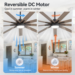 Breezary 65" 9-Blade Silent DC Motor Modern Ceiling Fan with 22W LED Light (Memory Function)