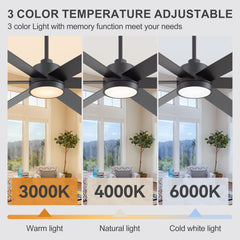 60-Inch Matte Black Ceiling Fan with Light, 5 Reversible Blades (Black/Wood Grain), Acrylic Lampshade,22W LED 3CCT (3000K/4000K/6000K) with Memory, 28W DC Motor, 6 Speeds, Remote with Timer (1/2/4/8H), Reversible Airflow, 6"&12" Downrods