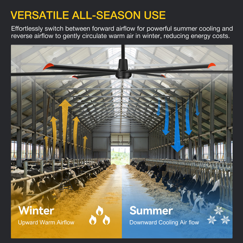 Black AeroSpan 12FT reversible HVLS industrial ceiling fan showing downward summer airflow and upward winter air circulation in a dairy barn