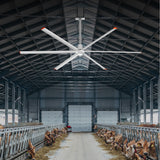AeroSpan 12FT 144-inch PMSM HVLS industrial ceiling fan installed in a dairy barn,Silver