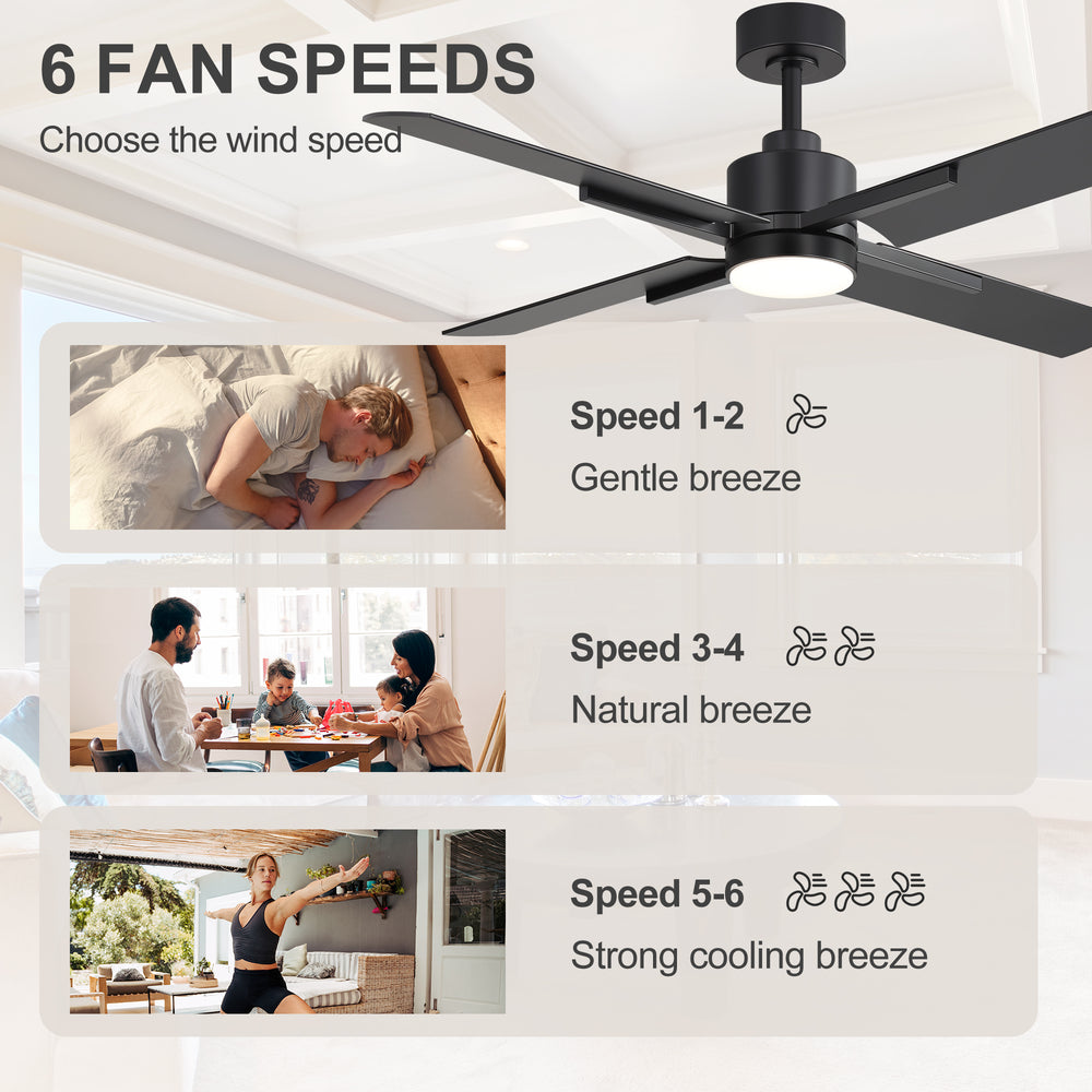 52 Inch Black Modern Ceiling Fan with Light and 4 Blades, Remote Control, 6-Speed Reversible DC Motor, 3CCT LED, Indoor Ceiling Fan for Living Room Bedroom