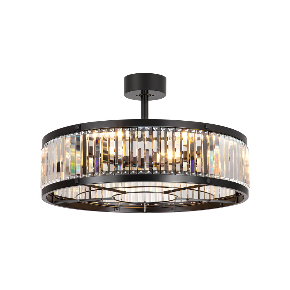 28 Inch Caged Ceiling Fan with Light & Remote Control