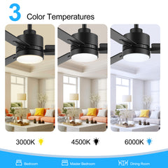 48in Indoor Black Ceiling Fan with  Light Remote(3-Blade)