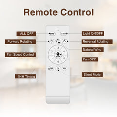 30032-REMOTE-T