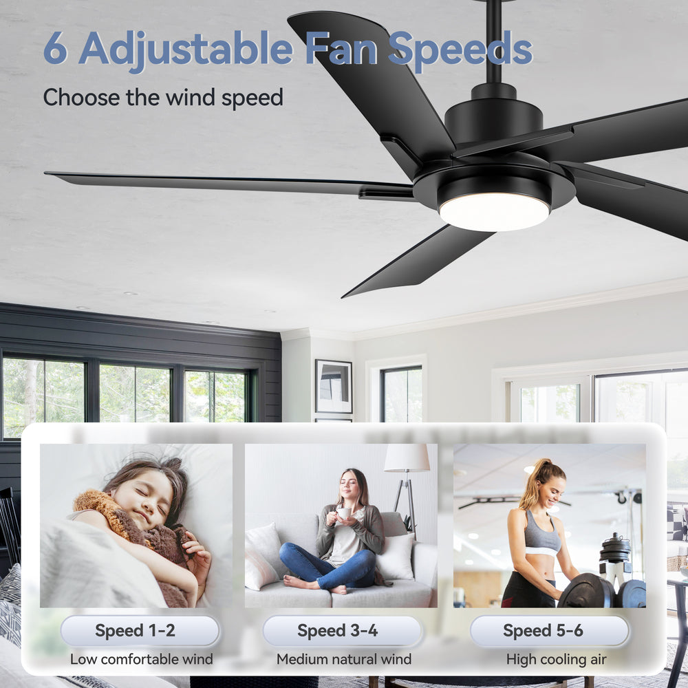 Breezary 60" 5-Blade Silent DC Motor Modern Ceiling Fan with 18W LED Light - Black