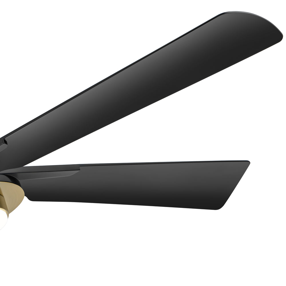 Breezary 60" 5-Blade Silent DC Motor Modern Ceiling Fan with 18W LED Light - Black