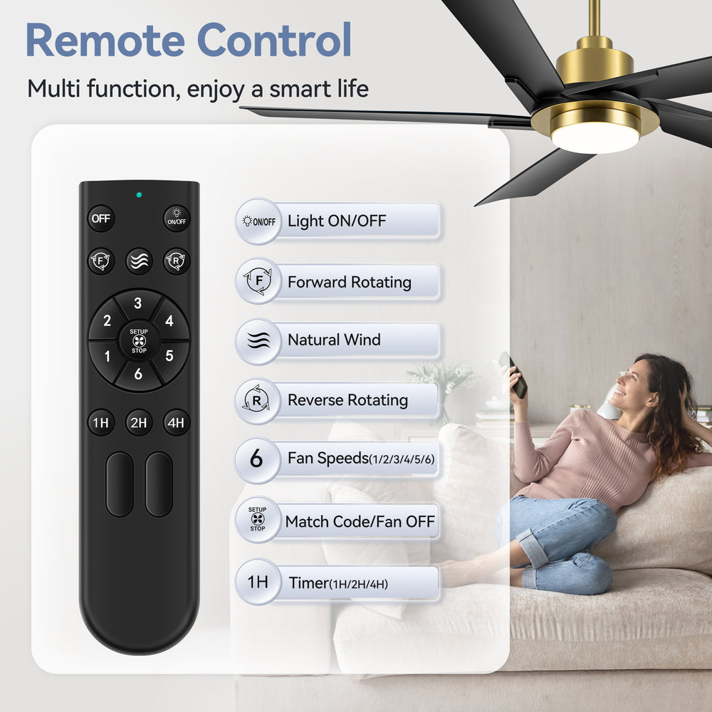 Breezary 60" 5-Blade Silent DC Motor Modern Ceiling Fan with 18W LED Light - Black