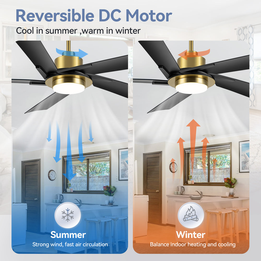 Breezary 60" 5-Blade Silent DC Motor Modern Ceiling Fan with 18W LED Light - Black