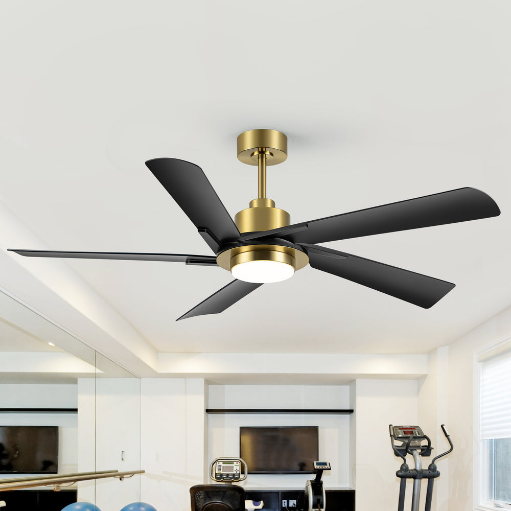Breezary 60" 5-Blade Silent DC Motor Modern Ceiling Fan with 18W LED Light - Black