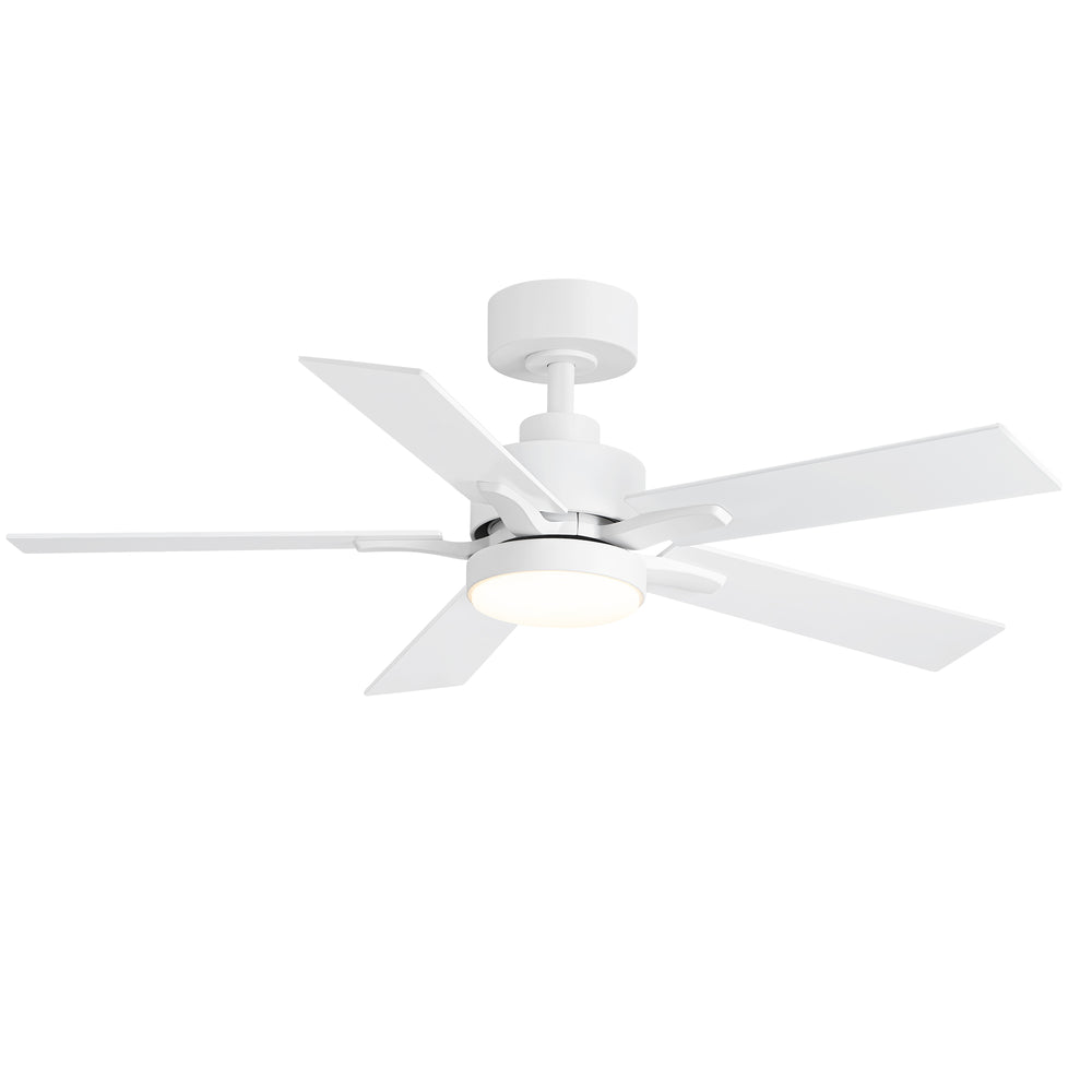 42-inch 5-Blade Ceiling Fan with Lights and Remote, 6 Speeds Reversible DC Motor Noiseless, Modern Ceiling Fan for Patios, Living Room, Farmhouse, Kitchen