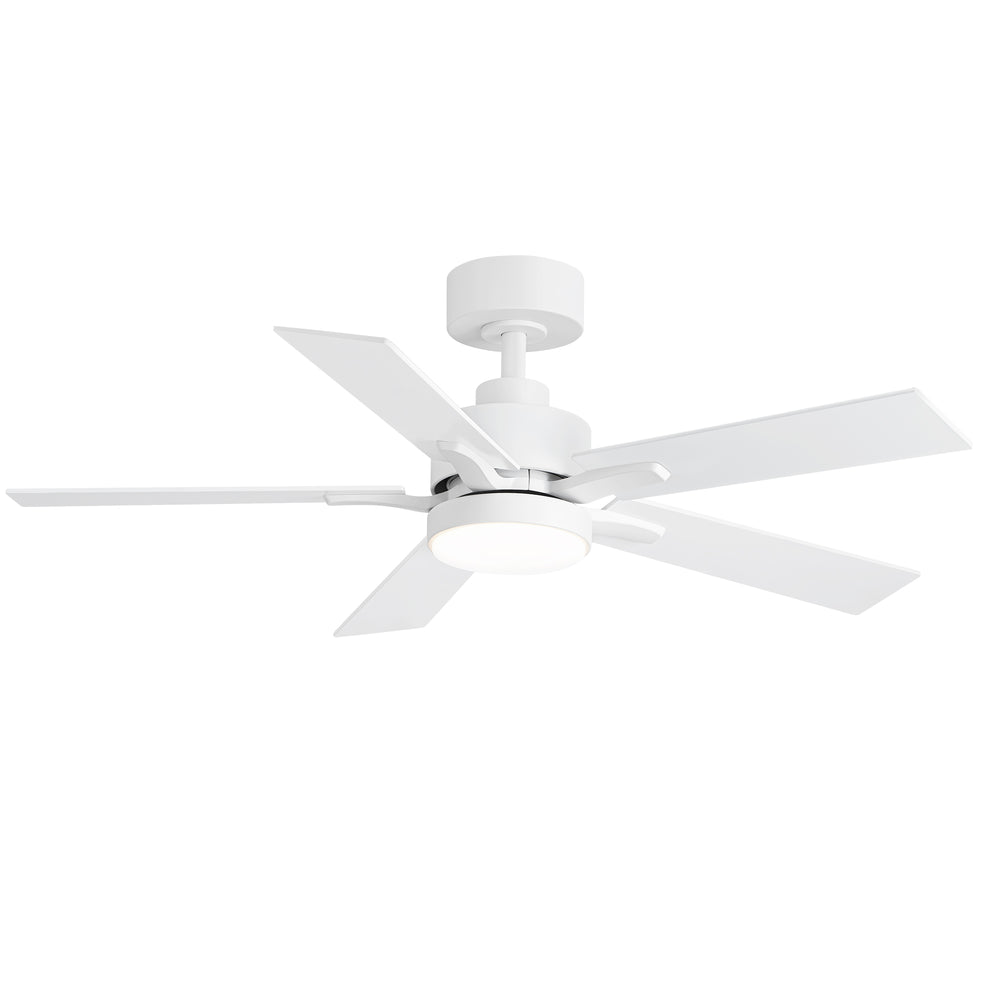 42-inch 5-Blade Ceiling Fan with Lights and Remote, 6 Speeds Reversible DC Motor Noiseless, Modern Ceiling Fan for Patios, Living Room, Farmhouse, Kitchen