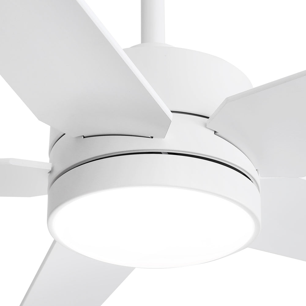 65-inch 5-Blade LED Ceiling Fan with Light and Remote，6" downrod and 20" downrod Included